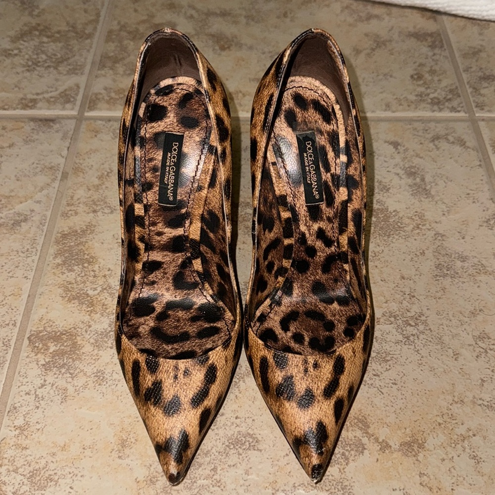 Dolce and Gabbana leopard pointy toe heels